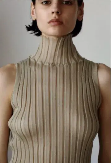 louren sheer turtleneck tops - 베이지