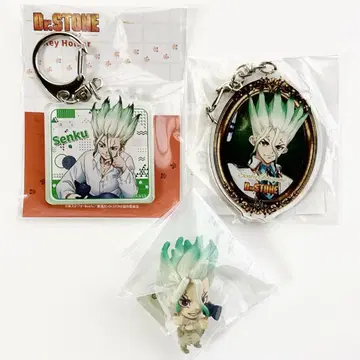 Dr.STONE 이시가미 센쿠 고양이와 함께 신데렐라 아크릴 키링 3종