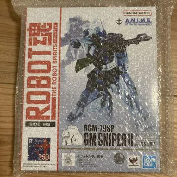 ROBOT혼 RGM-79 짐 ver. A.N.I.M.E.