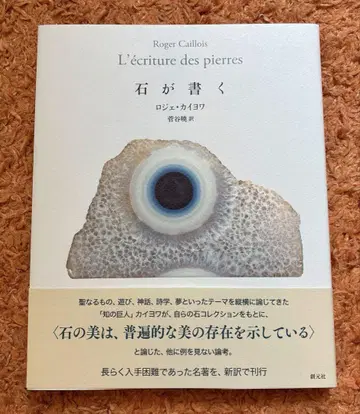 새상품급 돌이 쓰다