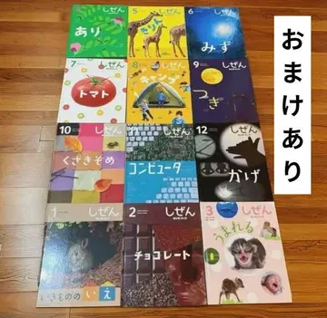 킨더북 전 12권 프레벨관