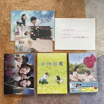 이와타 타카노리 DVD 세트