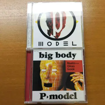 해동 P-MODEL CD 2장 세트 히라사와 스스무