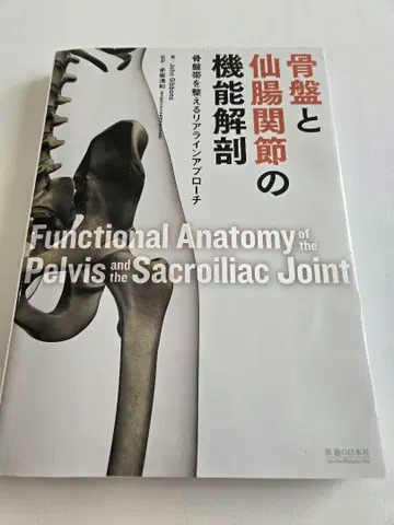 골반과 천장 관절의 기능 해부학 골반대를 정돈하는 리얼라인 아라이 접근법