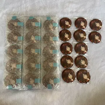 프로세카 호시노 이치카 캔뱃지
