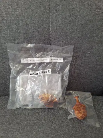 생물대도감 오오쿠와가타 번데기 장수풍뎅이 번데기 세트