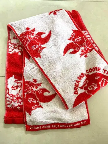 타월 라이브 DREAMS COME TRUE 빨흰