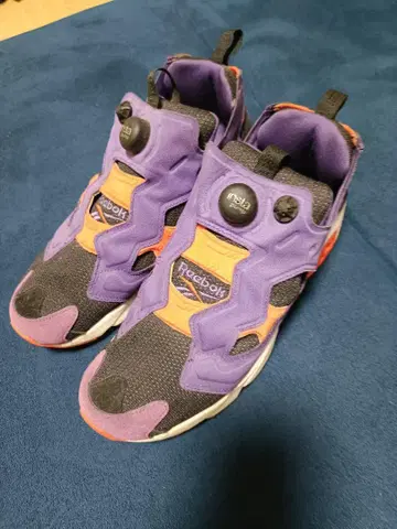 펌프 퓨리
