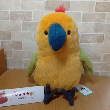 제리캣 앵무새 jellycat Budgeby Parrot