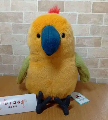 제리캣 앵무새 jellycat Budgeby Parrot