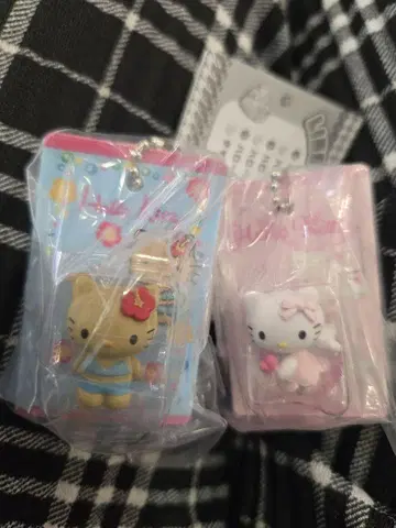 패키지 엔젤 일광화상 키티