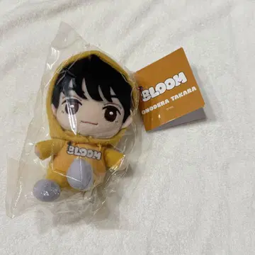 8LOOM 오노데라 타카라 봉제 인형