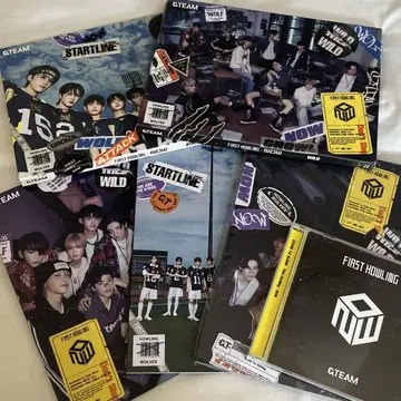 &TEAM FIRST HOWLING NOW CD 6 형태 묶음 판매