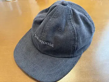 Patagonia 모자