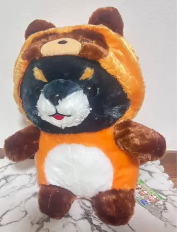 콩시바 삼형제 포테구루미 너구리 콩지로 빅
