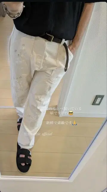 echeveria Painter's Double Knee Jeans