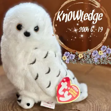 [ 레어 구하기 어려움 ] ty 비니 베이비즈 올빼미 봉제 인형 한정품