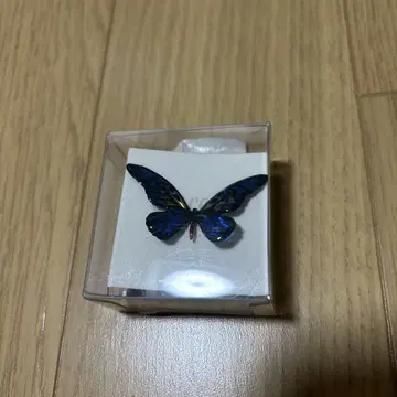 귀에 띄는 투명한 나비 귀걸이 (하트 무늬 나비 - 파랑)