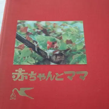 아기와 엄마 1970년, 1971년