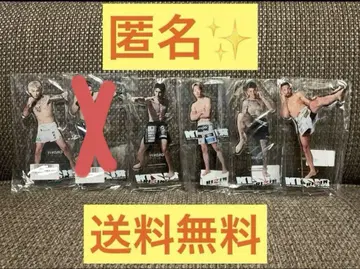 RIZIN 아크릴 스탠드 인기 5선수 낱개 판매 어떤 것이든 1개