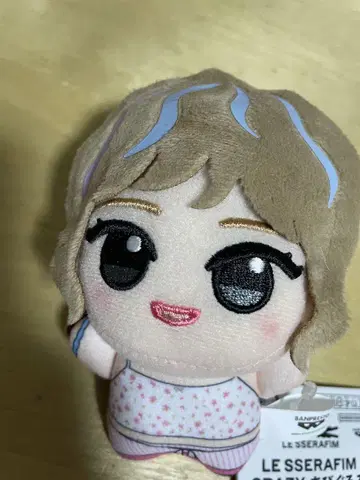 LE SSERAFIM CRAZY 채원 SD 인형 남코