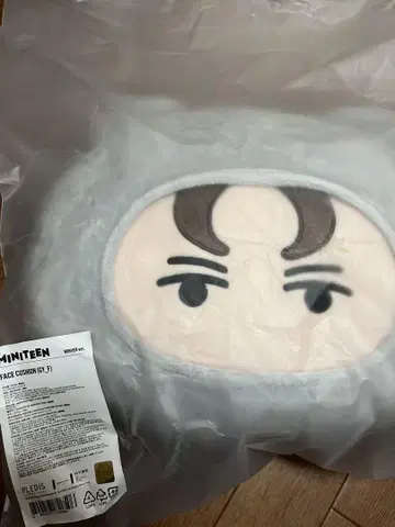 SEVENTEEN MINITEEN NONVER VERNON 쿠션