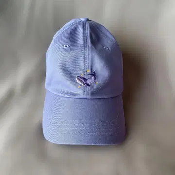 [공식] BTS 2023 FESTA 볼캡 캡