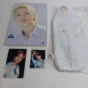 INI 마츠다 진 DVD 파우치 트레이딩 카드 세트
