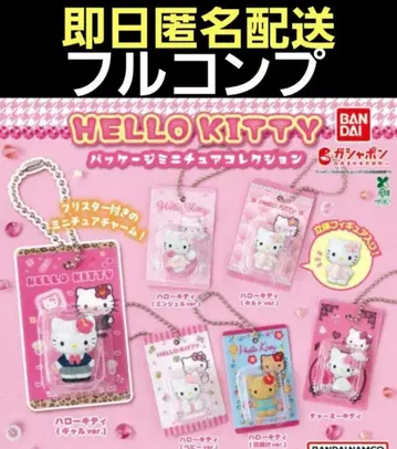 HELLO KITTY 패키지 미니어처 컬렉션 컴프 가챠 2