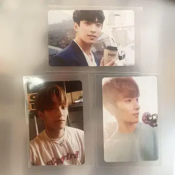 도겸 트레이딩 카드
