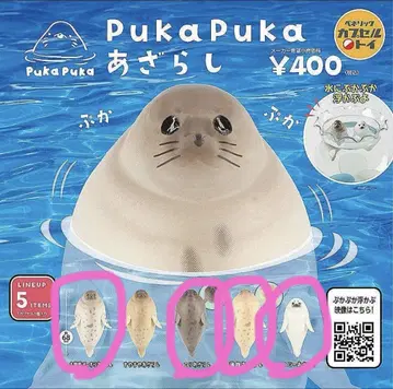 PukaPuka 물개 4종 세트