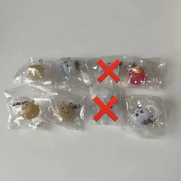 TRUZ 메지루시 액세서리 세트