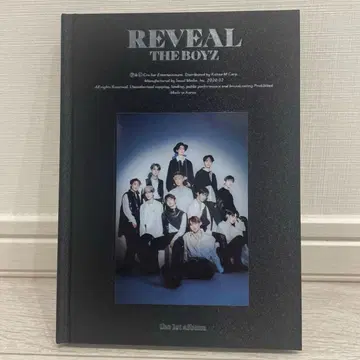 THE BOYZ 1st Album REVEAL