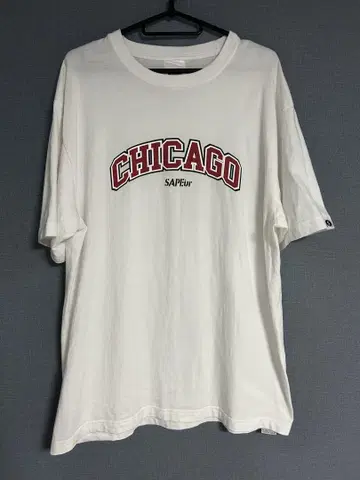 CHICAGO G.O.A.T. 티셔츠 L 사이즈