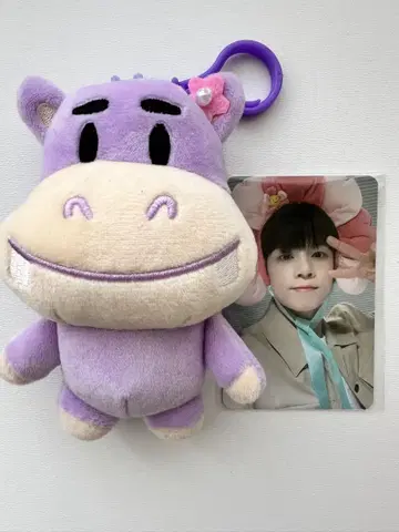 N.Flying 페이스의 하만 인형 트레이딩 카드 포함