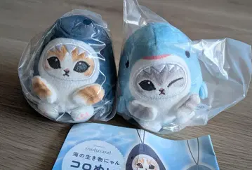 모프 샌드 가챠 바다 생물냥 코로누이 상어냥 고래상어냥