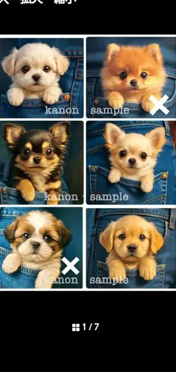 오더 접수