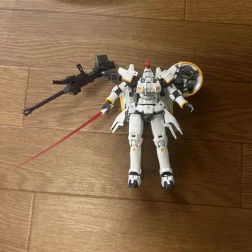 RG 톨기스