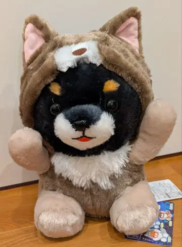 콩시바 삼형제 유루구루미 늑대 콩지로