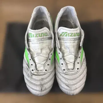 모렐리아 24.0