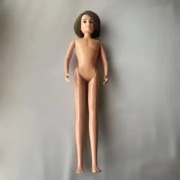 리카짱 아빠 인형 새상품급