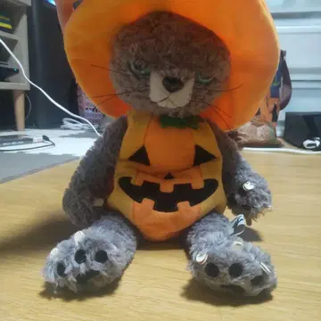 나이토 디자인 연구소 스케치 고양이 봉제 인형 할로윈