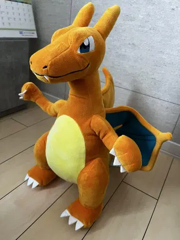 리자몽 봉제 인형