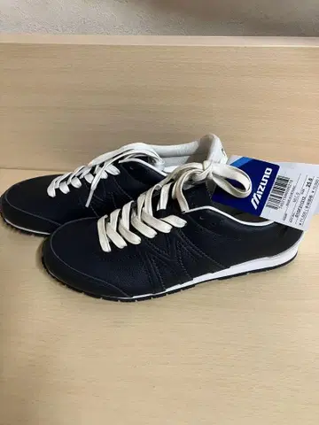 25cm [ 미사용 ] 미즈노 MIZUNO MLC-0 D1GF211212