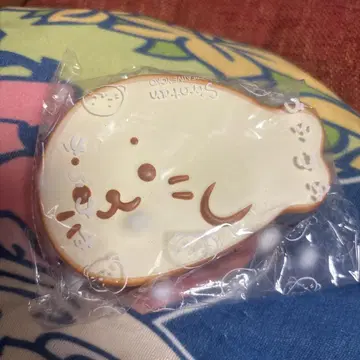 시로탄 스퀴즈