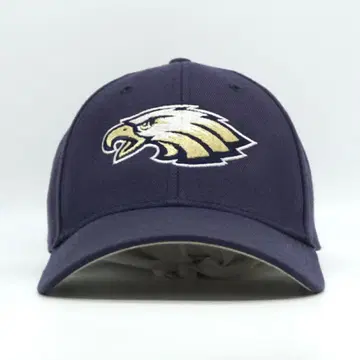 NFL 필라델피아 이글스 자수 캡 구제 의류 네이비