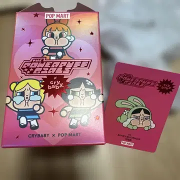 PowerpuffGirls x crybaby 팝마트
