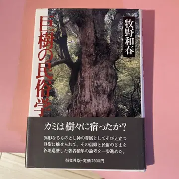거목의 민속학 마키노 카즈하루 초판, 오비 포함 컬렉터 도서
