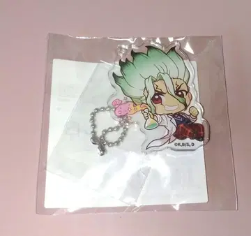 Dr.STONE 캐릭터 복권 아크릴 키링 이시가미 센쿠