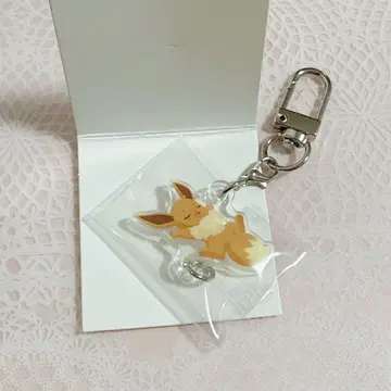 이어지는 아크릴 참 이브이 시부야 포켓몬 슬립